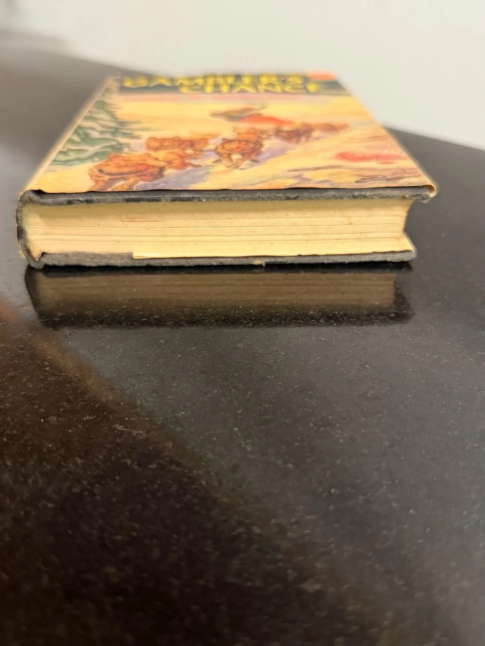 The Gamblers Chance. Author, James B. Hendrix. Vintage book.